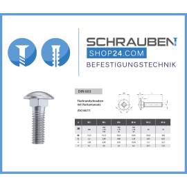 10 Stück Schlossschrauben M6x45 - Edelstahl A2 DIN 603