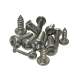 Blechschrauben DIN 7981 (~ISO 14585) TORX Linsenkopf Edelstahl A2 4,8 mm 19 mm 100 Stk.